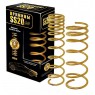 Пружины, SS20 ВАЗ 2108, 2109, 21099, 2113, 2114, 2115 передние с переменным шагом GOLD PROGRESSIVE