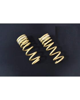 Пружины, SS20 ВАЗ 2123 Нива Шевроле С переменным шагом GOLD PROGRESSIVE передние