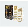 Пружины, SS20 ВАЗ 2123 Нива Шевроле С переменным шагом GOLD PROGRESSIVE задние